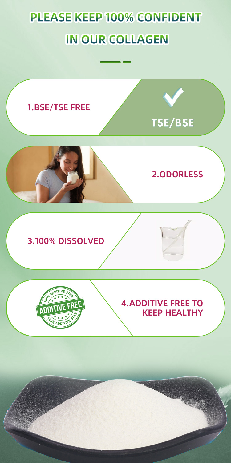 Pea Collagen Peptide Powder Hydrolized Pea Protein Wholesale